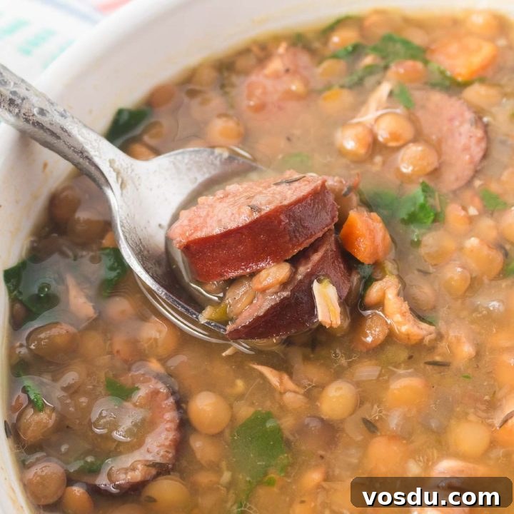 15 Quick Rotisserie Chicken Dinners for Busy Weeknights 15 Bowl of lentil soup with kielbasa, spinach, carrots, onion, and green pepper