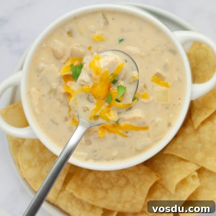15 Quick Rotisserie Chicken Dinners for Busy Weeknights 3 A bowl of creamy white chicken chili garnished with cheddar cheese and cilantro and served with chips.
