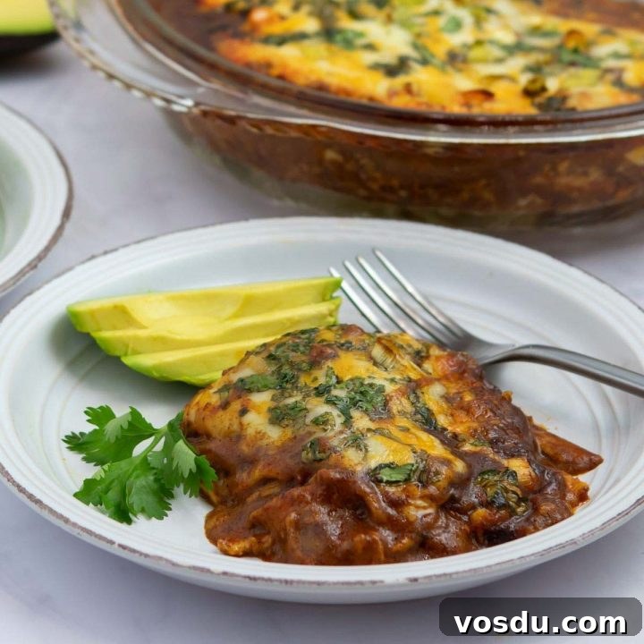 15 Quick Rotisserie Chicken Dinners for Busy Weeknights 5 A plate with chicken enchilada bake garnished with sliced avocado.