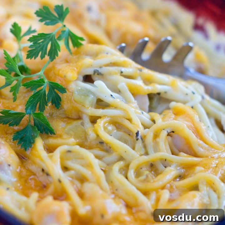 15 Quick Rotisserie Chicken Dinners for Busy Weeknights 6 Cheddar Chicken Spaghetti with parsley being scooped out with a pasta utensil