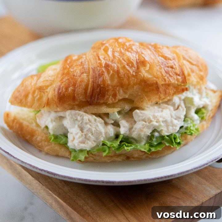 15 Quick Rotisserie Chicken Dinners for Busy Weeknights 7 White plate with chicken salad on a bed of lettuce on a croissant