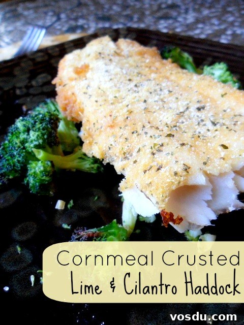 Cilantro & Lime Cornmeal Crusted Haddock -- Baked not fried, makes this a super healthy and flavorful dinner recipe. Only three ingredients to make! #glutenfree 