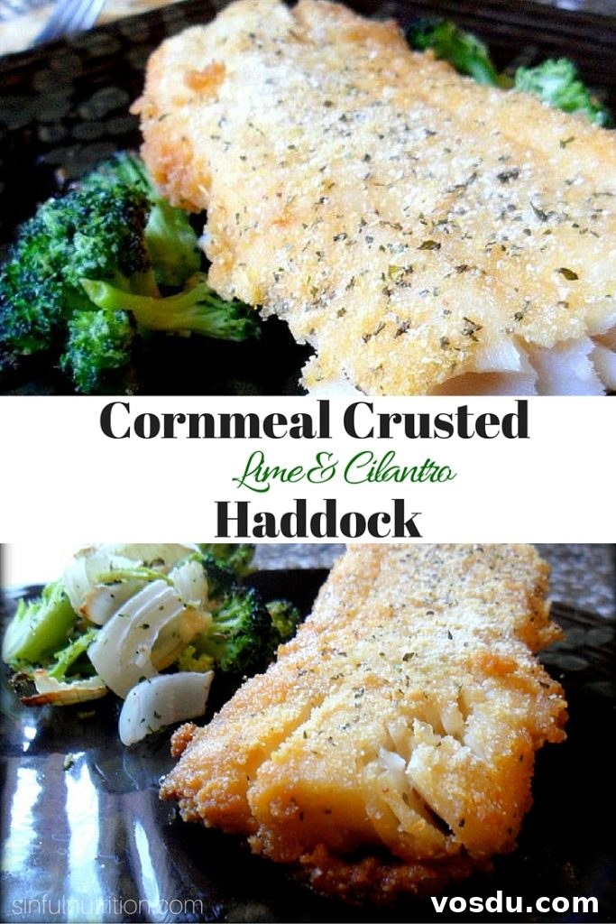 Cilantro & Lime Cornmeal Crusted Haddock -- Baked not fried, makes this a super healthy and flavorful dinner recipe. Only three ingredients to make! | @sinfulnutrition #ad