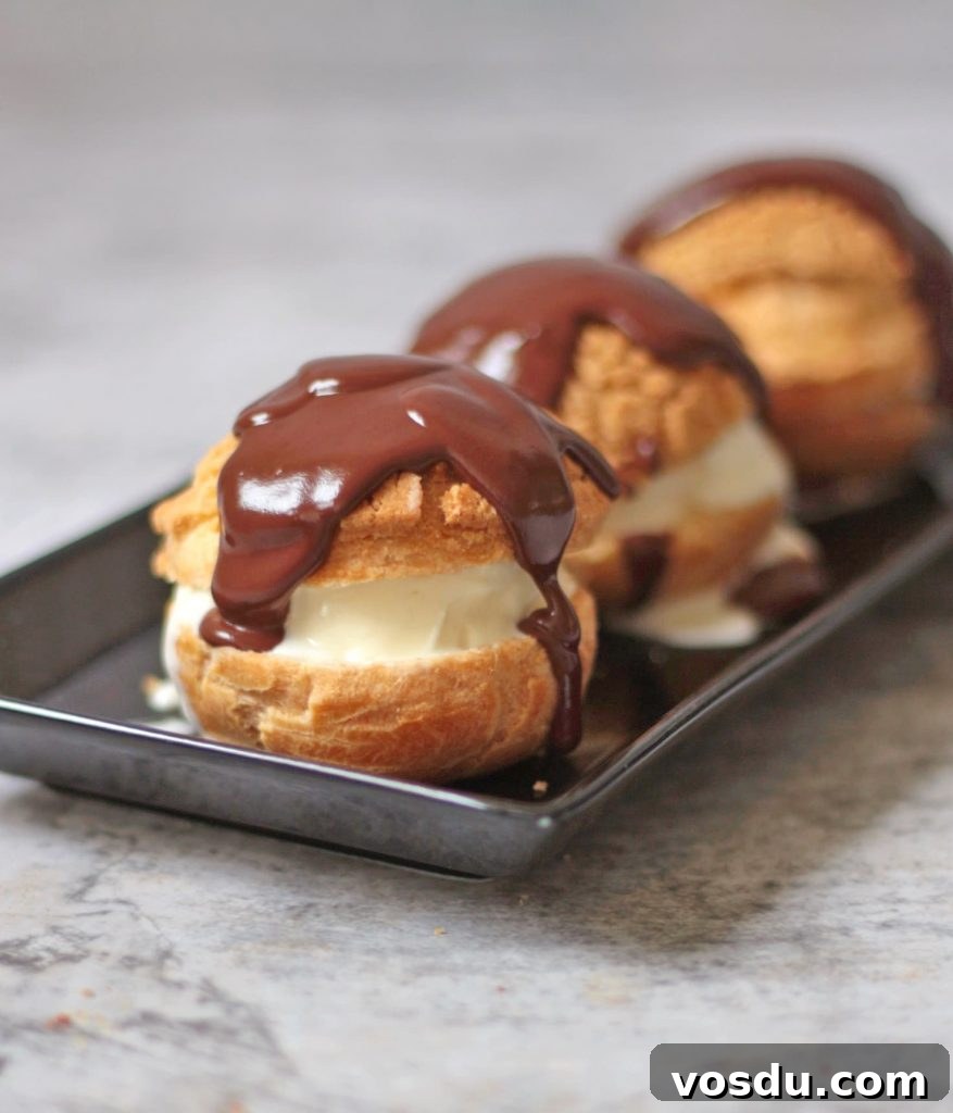 Classic French Profiteroles with Rich Chocolate Sauce 7 Vanilla Ice Cream Choux with Chocolate Sauce.