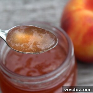 Homemade Peach Jelly Canning Recipe: Step-by-Step Guide 11 Peach Jelly Spoonful
