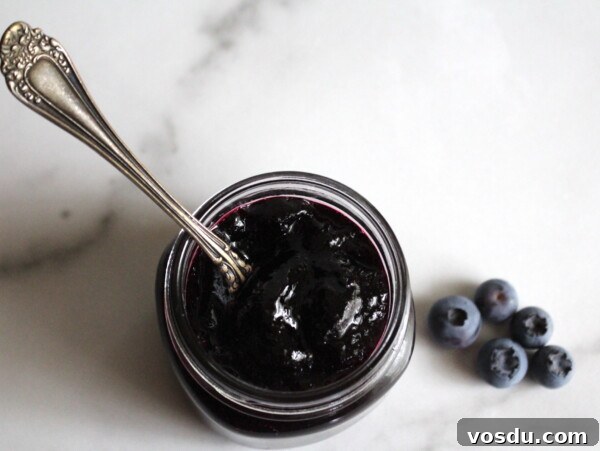 Homemade Peach Jelly Canning Recipe: Step-by-Step Guide 12 Blueberry Jelly