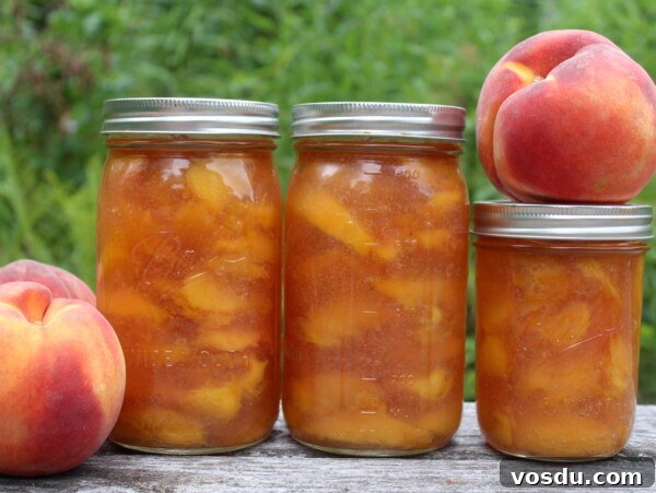 Homemade Peach Jelly Canning Recipe: Step-by-Step Guide 8 Canning Peach Pie Filling