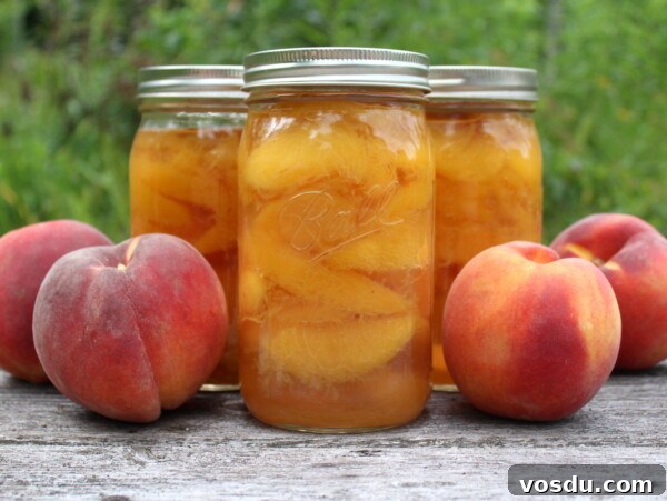 Homemade Peach Jelly Canning Recipe: Step-by-Step Guide 9 How to can peaches