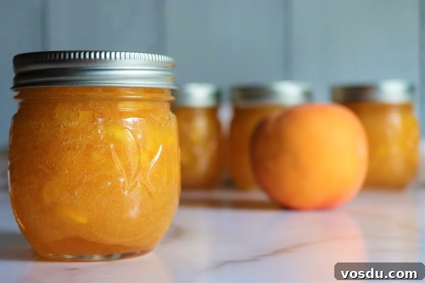 Homemade Peach Jelly Canning Recipe: Step-by-Step Guide 10 Homemade Peach Jam