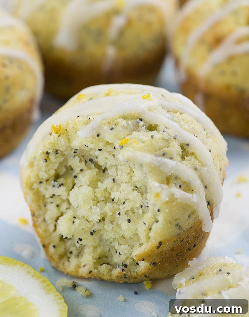Moist Lemon Poppy Seed Muffins with Zesty Glaze 3 Lemon Poppy Seed Muffins –Simple and easy recipe for bright and sunny breakfast or brunch- moist, lemon infused muffins made with Greek yogurt. Slight crunch from poppy seeds makes really interesting twist on the classic, plain lemon muffins.