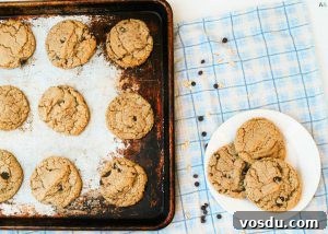 Soft Allergy-Friendly Chocolate Chip Cookies — Gluten & Dairy-Free Recipe 11 gluten-free-dairy-free-egg-free-oatmeal-chocolate-chip-cookie-recipe
