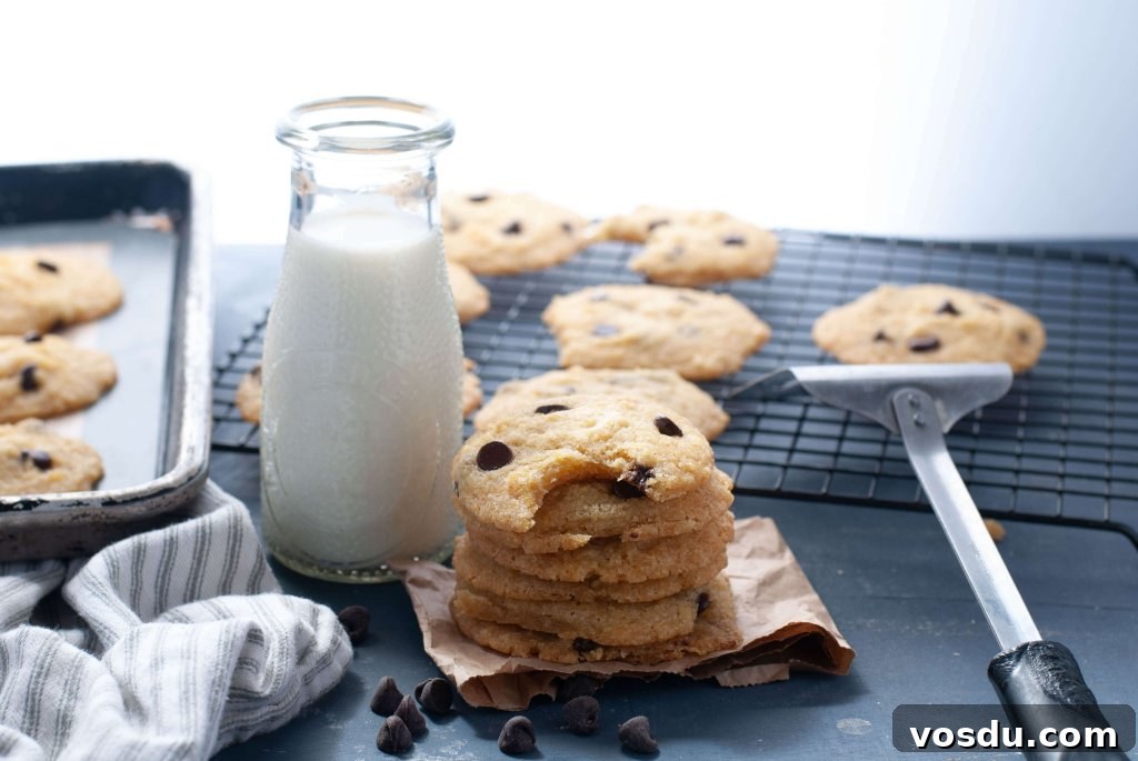 Soft Allergy-Friendly Chocolate Chip Cookies — Gluten & Dairy-Free Recipe 3 how-to-make-chocolate-chip-cookies-for-people-with-food-allergies