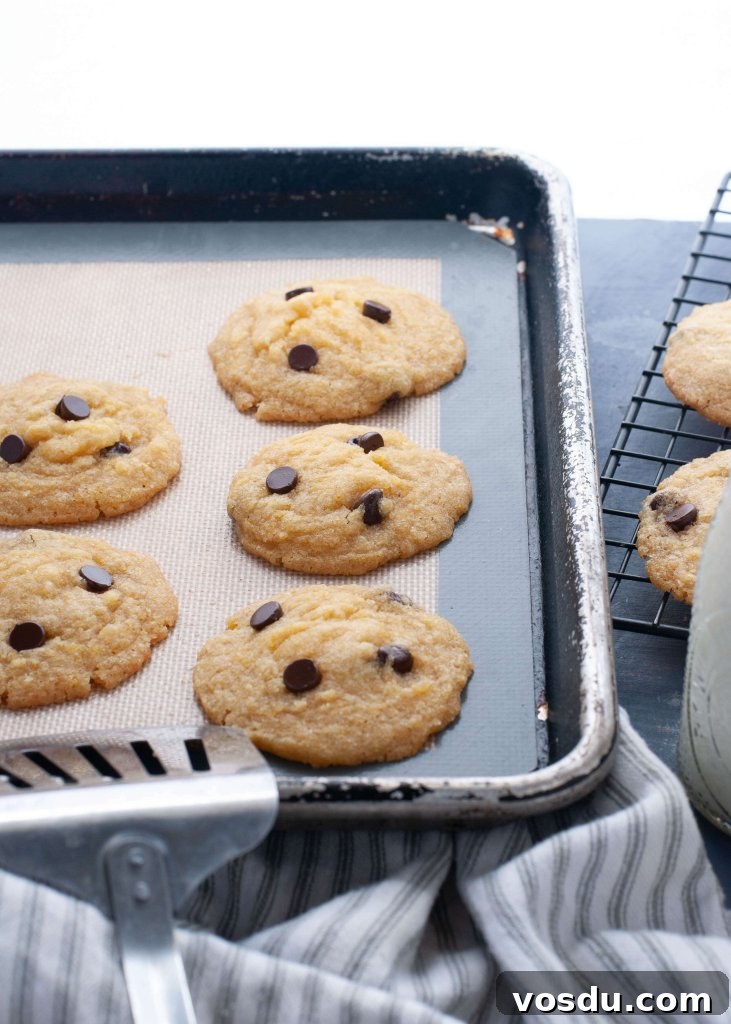 Soft Allergy-Friendly Chocolate Chip Cookies — Gluten & Dairy-Free Recipe 4 allergy-friendly-chocolate-chip-cookies