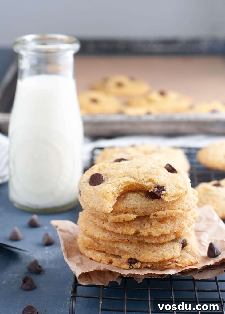 Soft Allergy-Friendly Chocolate Chip Cookies — Gluten & Dairy-Free Recipe 5 top-8-free-chocolate-chip-cookies