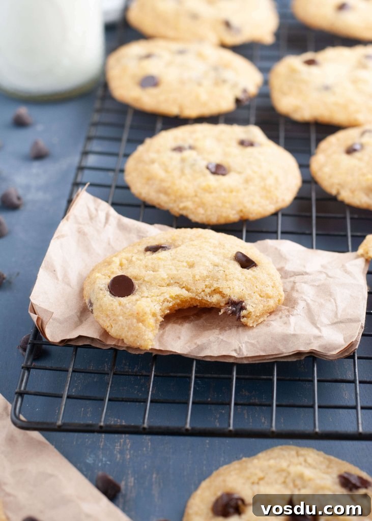 Soft Allergy-Friendly Chocolate Chip Cookies — Gluten & Dairy-Free Recipe 6 egg-free-chocolate-chip-cookies