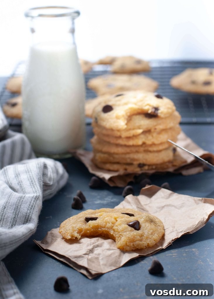 Soft Allergy-Friendly Chocolate Chip Cookies — Gluten & Dairy-Free Recipe 7 gluten-free-chocolate-chip-cookies