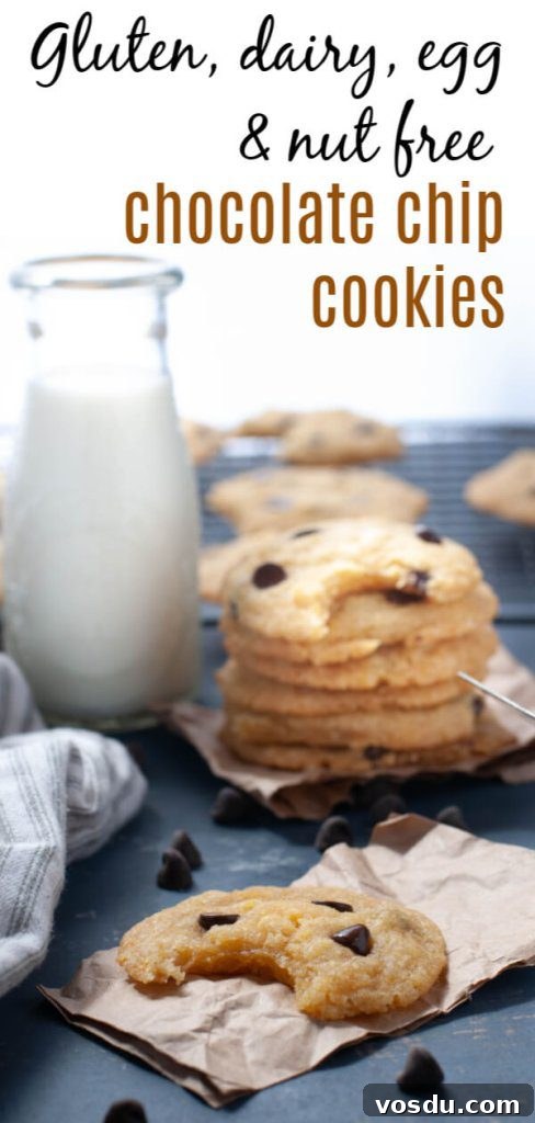 Soft Allergy-Friendly Chocolate Chip Cookies — Gluten & Dairy-Free Recipe 10 gluten-dairy-egg-nut-free-chocolate-chip-cookies