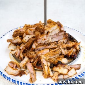 Crispy Air Fryer Pork Gyros Recipe for Quick Weeknight Meals 12 A plate of sliced, seasoned Pork Gyros stacked on a vertical metal skewer, with pieces scattered around, served on a white plate with a blue patterned rim—an authentic Greek recipe brought to life.