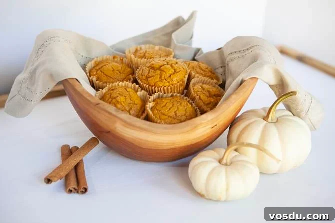 Delicious WW pumpkin muffins 2 ingredient