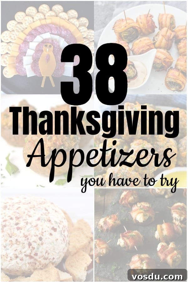 Ok. I have to admit, I wrote this when I was hungry, and that has led me down the path of being ravenously hungry for these 38 Thanksgiving Appetizers You Have to Try. For real--I have a problem. LOL! #nerdymammablog #thanksgiving