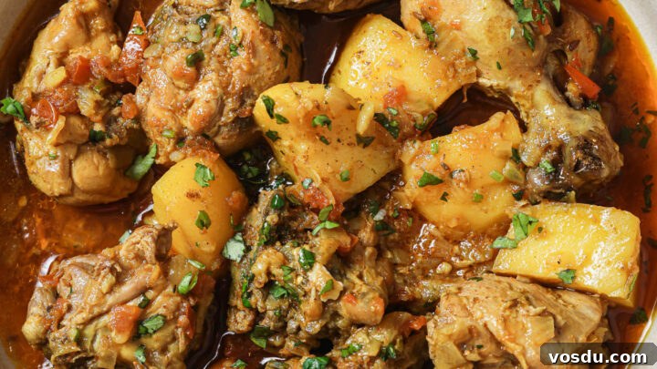 Close up of a bowl of Pakistani Chicken Curry garnished with cilantro and garam masala.