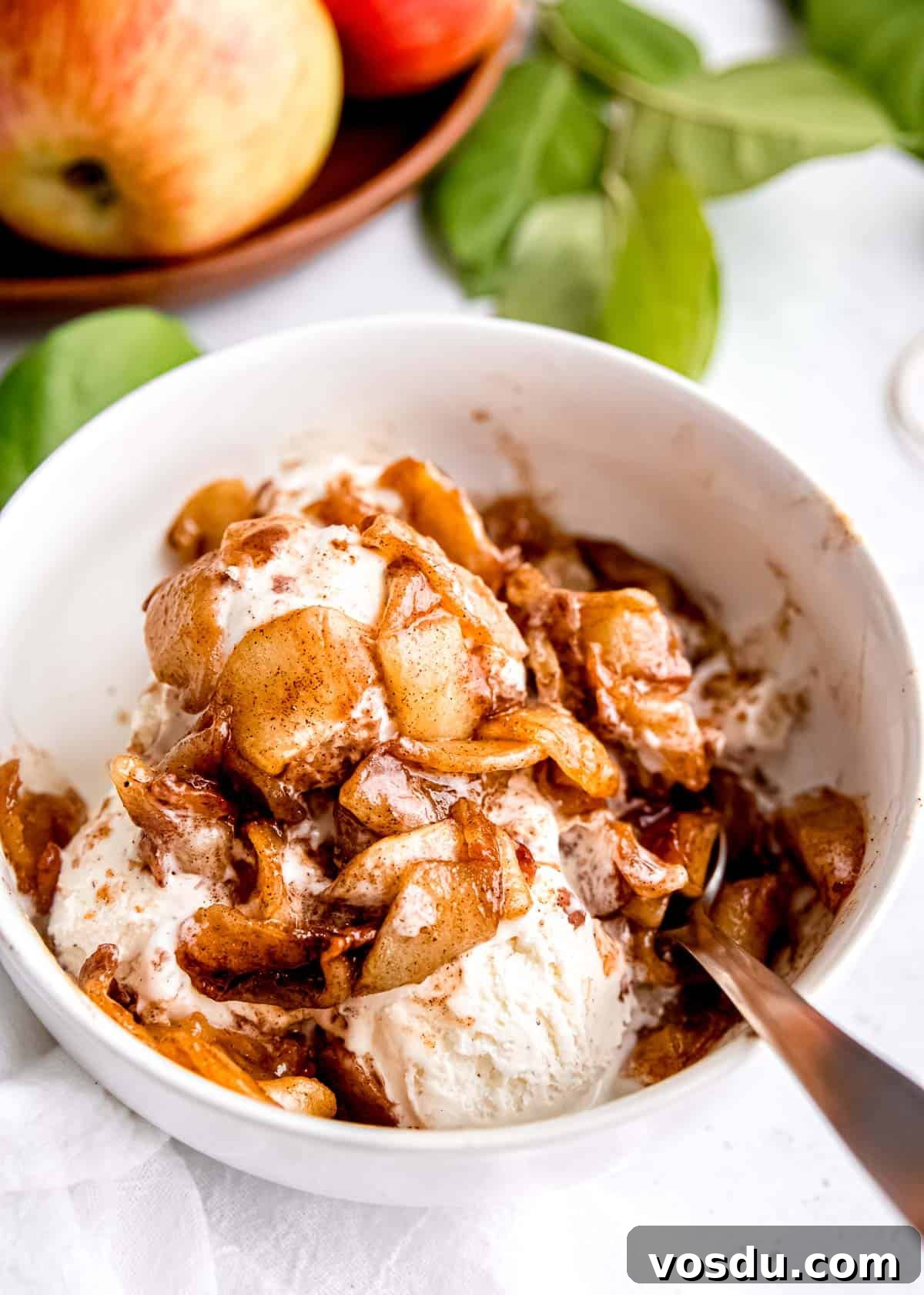 Crispy Cinnamon Air Fryer Apples Recipe 2 air fryer apples over a bowl of ice cream