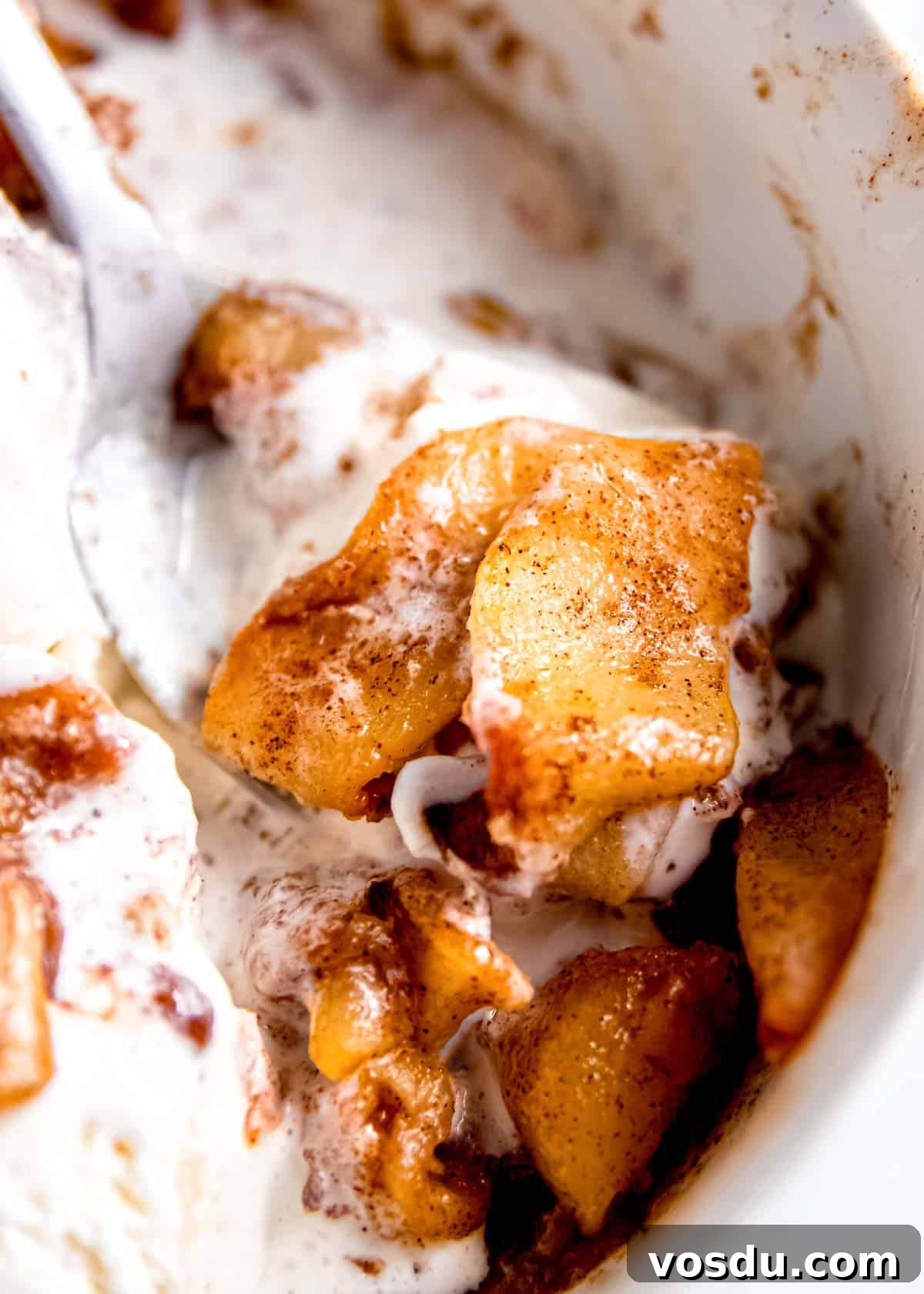 Crispy Cinnamon Air Fryer Apples Recipe 11 air fried apples with ice cream in a bowl