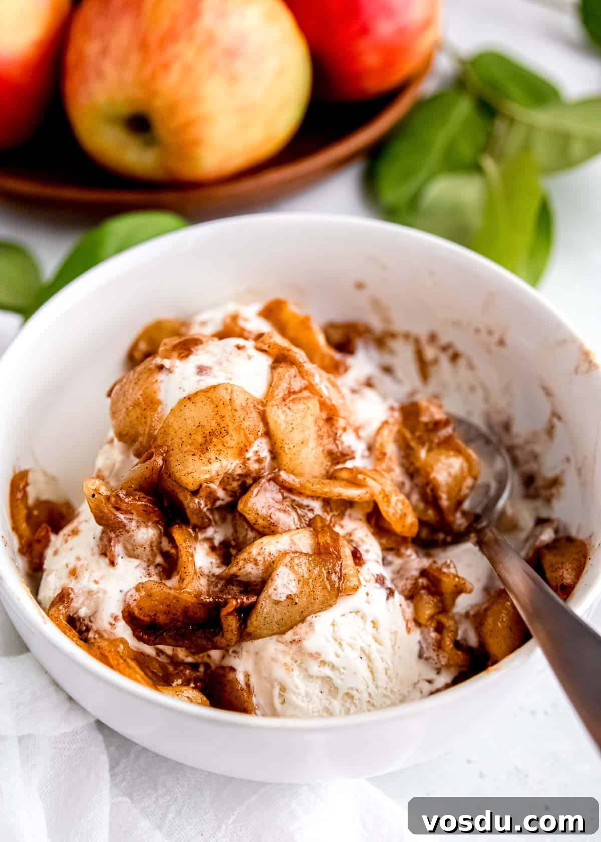 Crispy Cinnamon Air Fryer Apples Recipe 12 air fryer apples on ice cream in a bowl