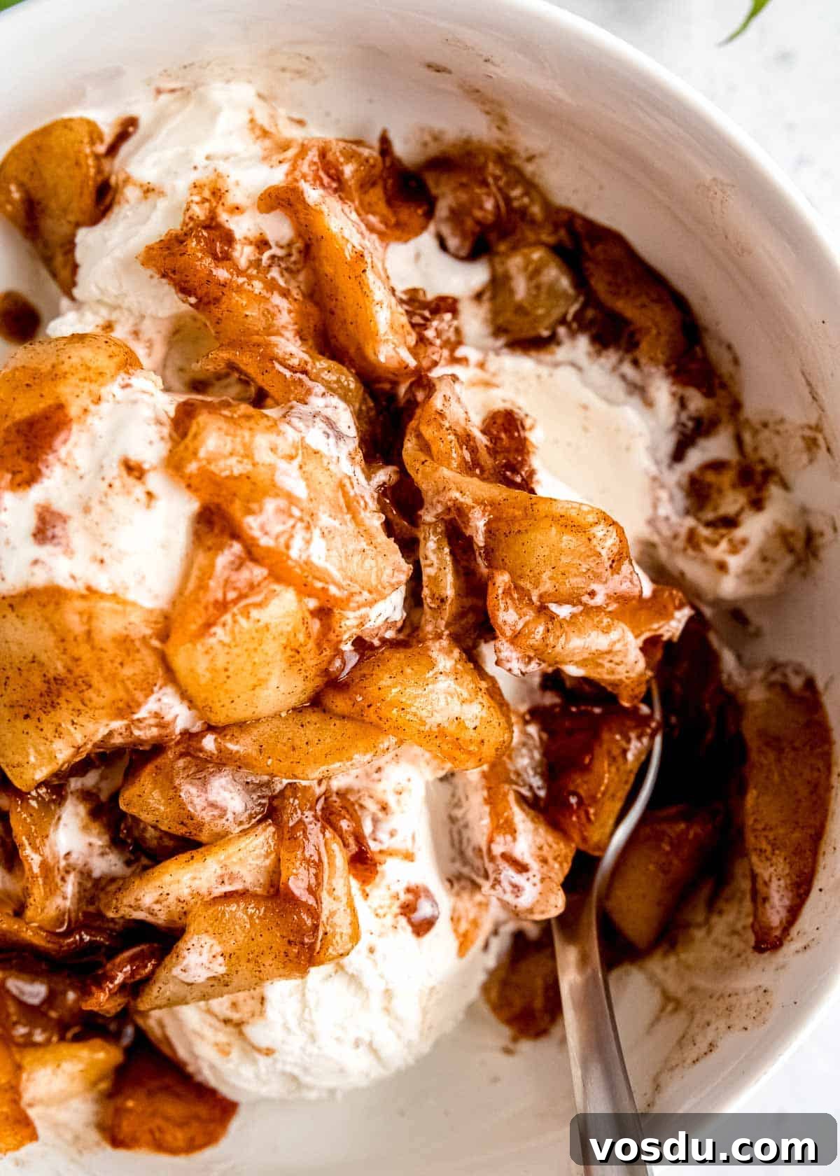 Crispy Cinnamon Air Fryer Apples Recipe 13 closeup overhead shot of apples and ice cream
