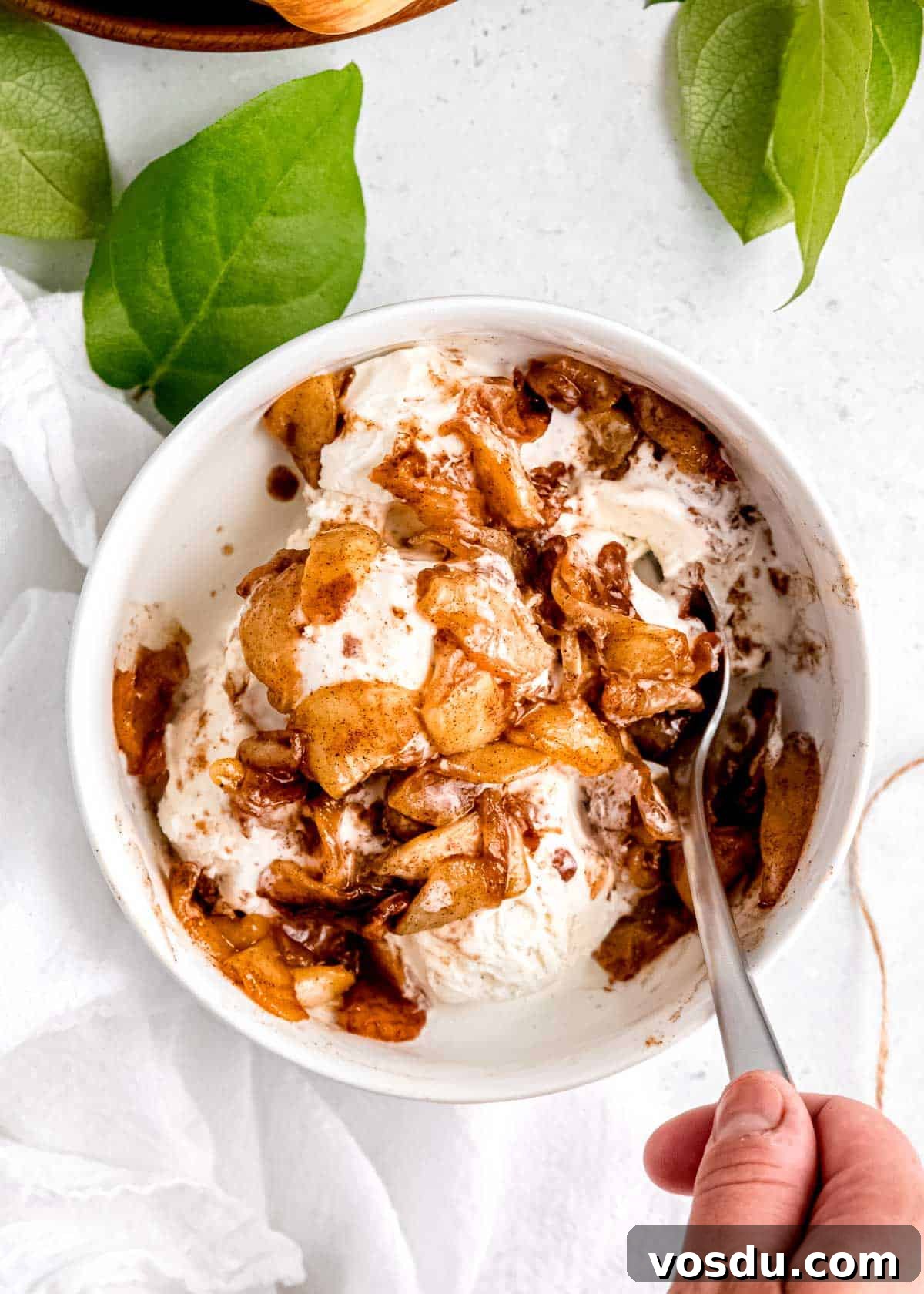 Crispy Cinnamon Air Fryer Apples Recipe 16 air fried apples spooned over ice cream