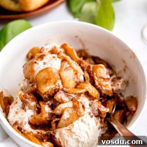 Crispy Cinnamon Air Fryer Apples Recipe 17 air fryer apples over a bowl of ice cream