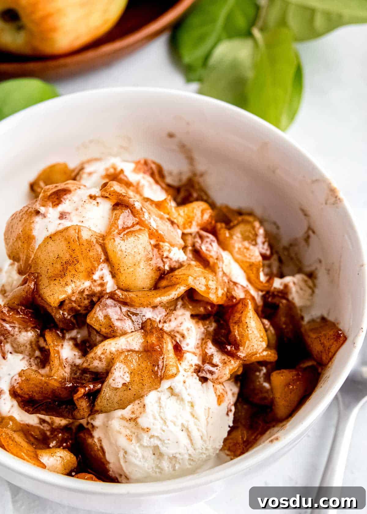 Crispy Cinnamon Air Fryer Apples Recipe 5 closeup shot of air fried apples on ice cream