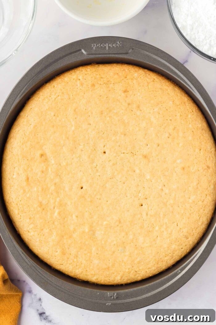 A baked olive oil cake in a round cake pan.