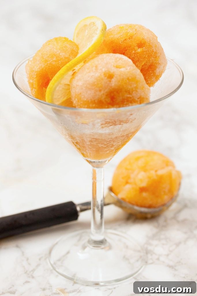 Tropical Papaya and Zesty Lemon Sorbet Recipe 2 Papaya and Lemon Sorbet