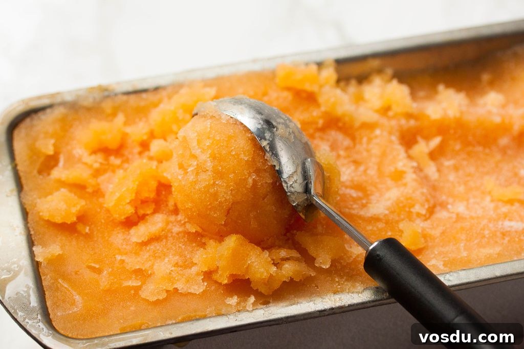 Tropical Papaya and Zesty Lemon Sorbet Recipe 3 Papaya and Lemon Sorbet
