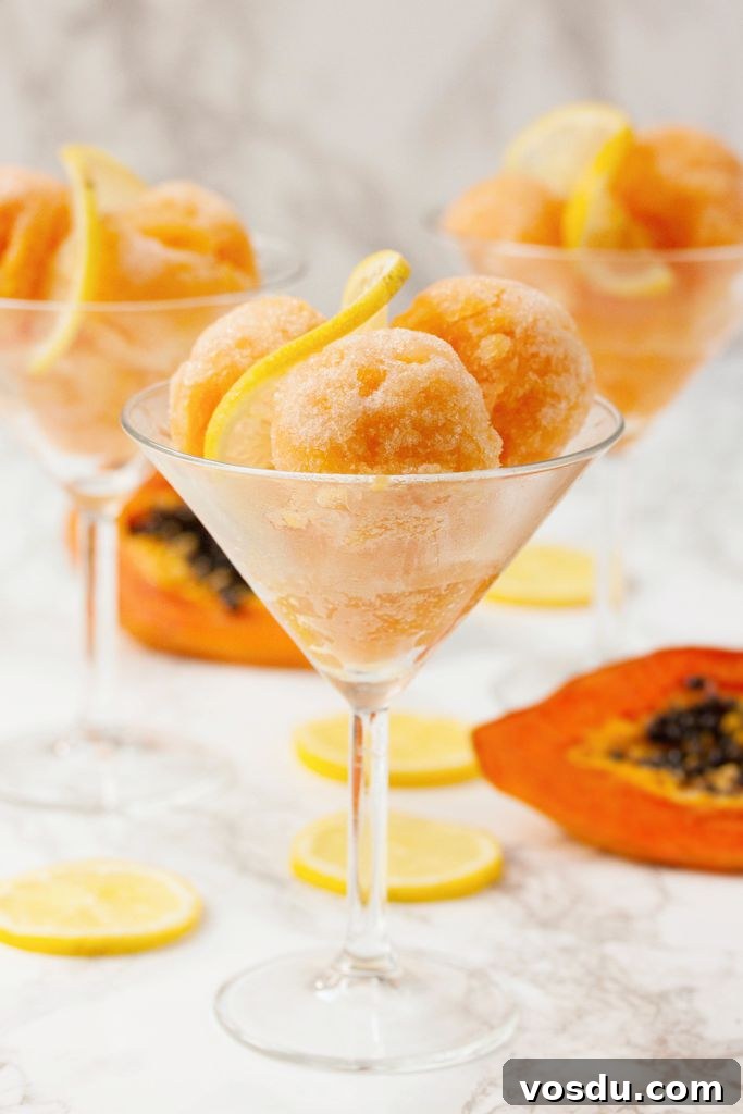 Tropical Papaya and Zesty Lemon Sorbet Recipe 4 Papaya and Lemon Sorbet