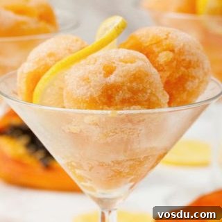 Tropical Papaya and Zesty Lemon Sorbet Recipe 5 img 4686 4