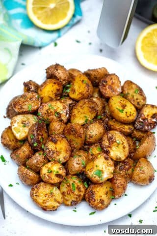 photo of crispy air fryer potatoes
