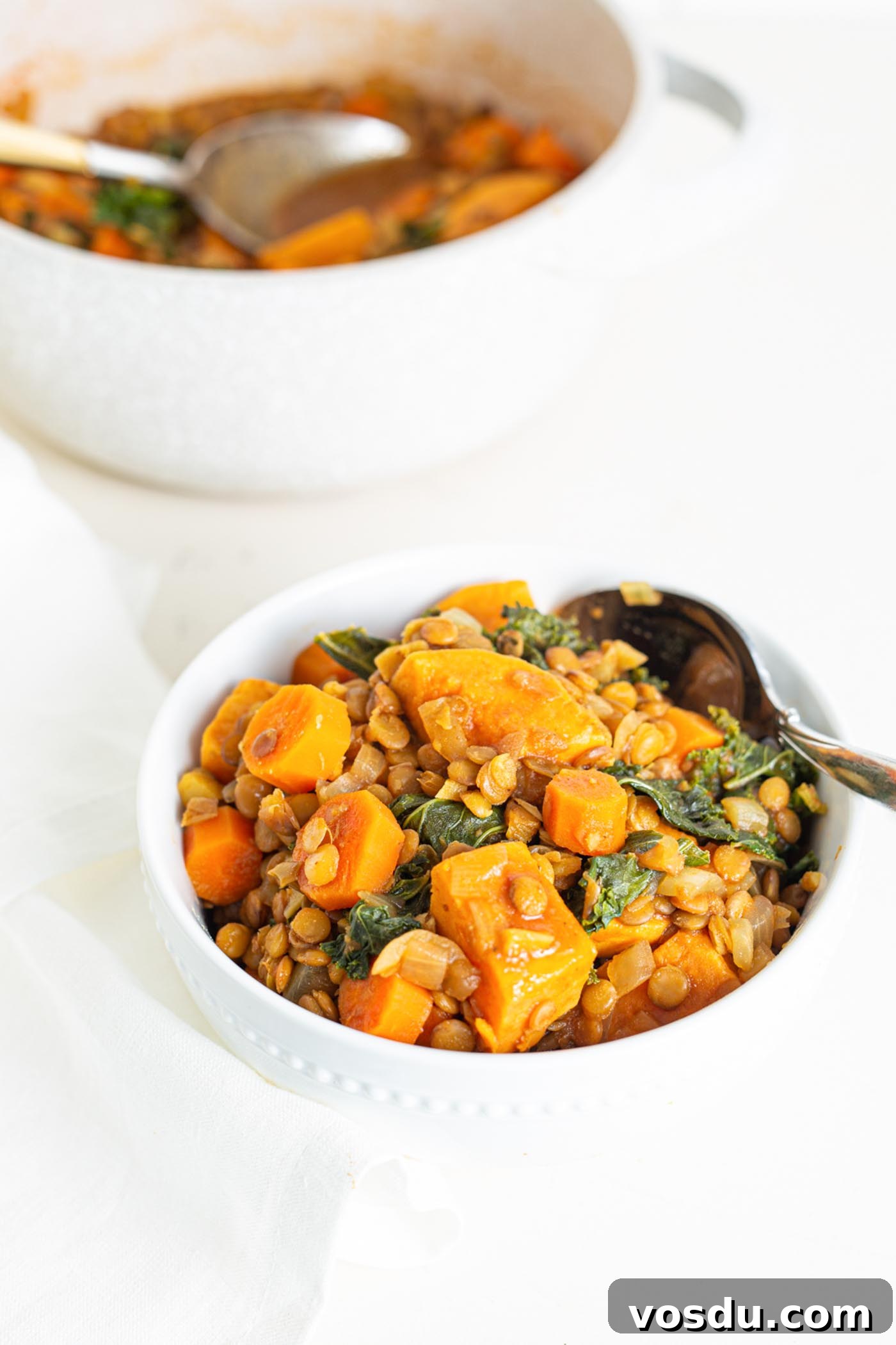 Hearty Sweet Potato and Red Lentil Stew Recipe 2 A bowl of sweet potato lentil stew with kale mixed into it.