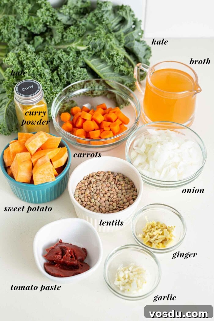 Hearty Sweet Potato and Red Lentil Stew Recipe 3 Lentils, garlic, ginger, broth, sweet potato and carrot in bowls on a counter.