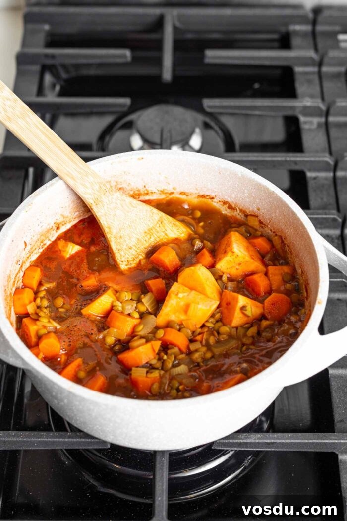 Hearty Sweet Potato and Red Lentil Stew Recipe 5 A thick tomato lentil stew cooking on a gas range stove.
