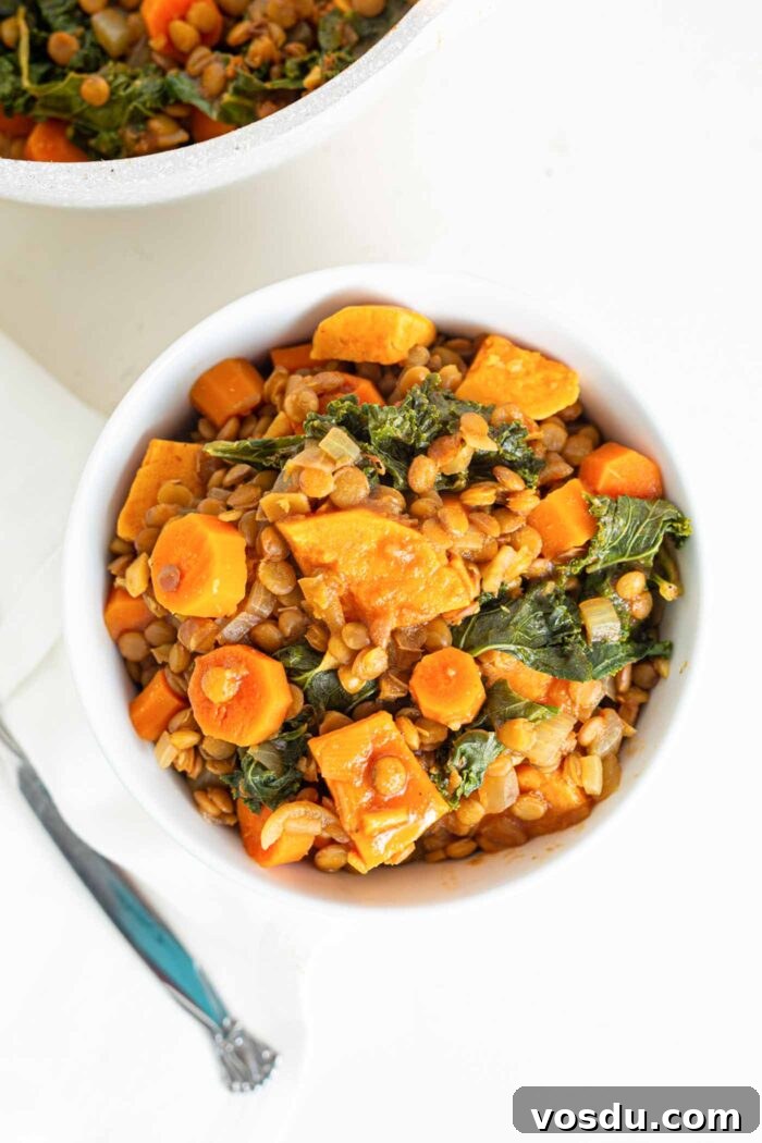 Hearty Sweet Potato and Red Lentil Stew Recipe 7 Overhead image of a bowl of sweet potato lentil stew with kale mixed into it.