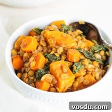 Hearty Sweet Potato and Red Lentil Stew Recipe 8 A bowl of sweet potato lentil stew with kale mixed into it.