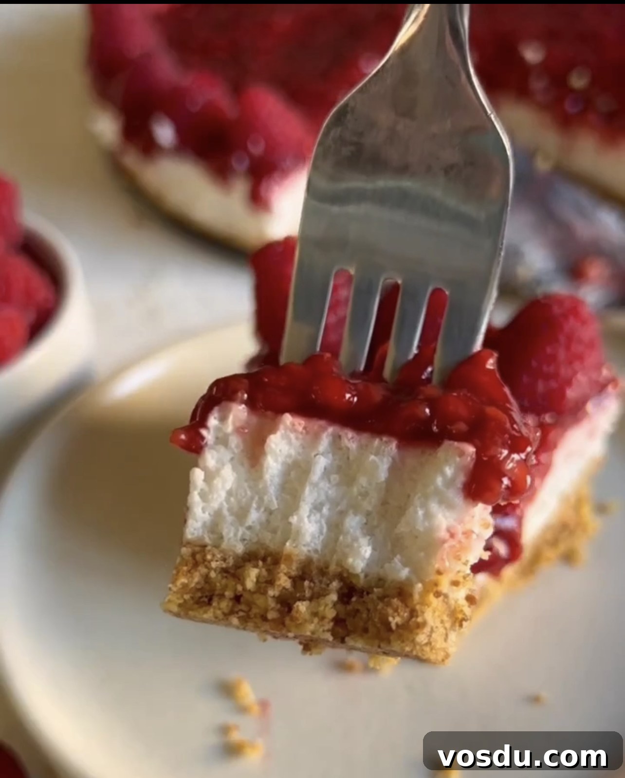No-Bake Paleo Cheesecake Recipe: Dairy-Free Almond Crust 4 img 5012 3