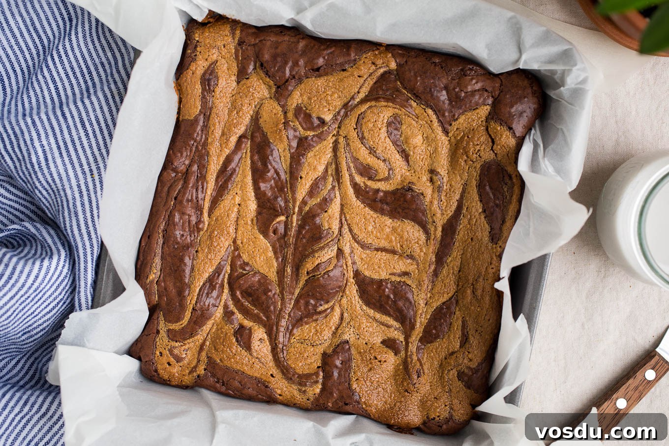 Gluten-Free Peanut Butter Swirl Brownies Recipe 8 Peanut Butter Swirl Brownies (Gluten-Free, Dairy-Free) | saltedplains.com