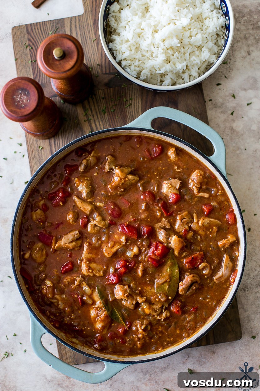 Authentic Chicken Vindaloo Recipe: Spicy Goan Curry Tutorial 9 Overhead photo of a skillet chicken dinner