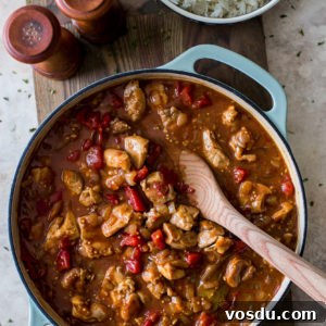 Authentic Chicken Vindaloo Recipe: Spicy Goan Curry Tutorial 10 Overhead photo of a skillet of chicken vindaloo