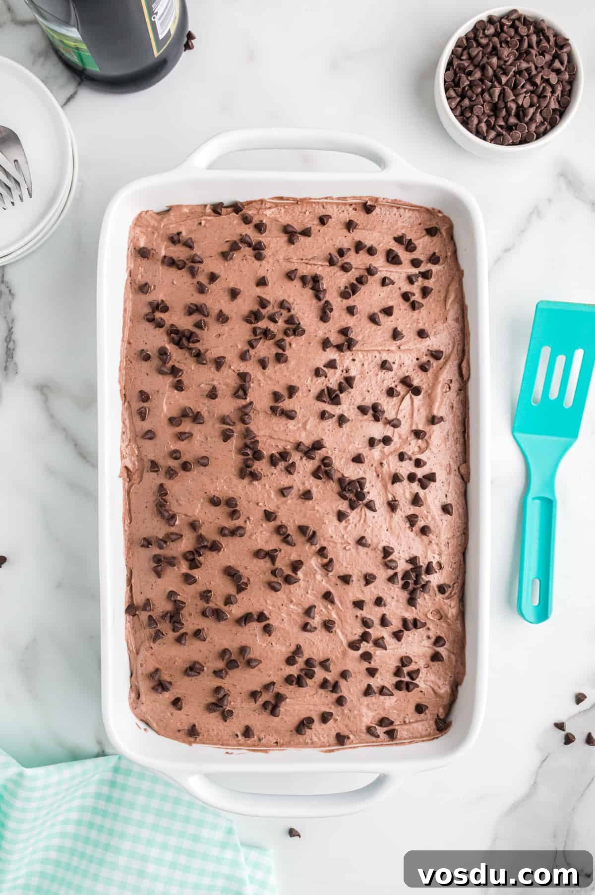 Baileys Irish Cream Poke Cake Recipe for Rich Dessert 11 Bailys Irish cream chocolate poke cake topped with mini chocolate chips