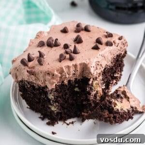 Baileys Irish Cream Poke Cake Recipe for Rich Dessert 14 Baileys chocolate poke cake topped with light and fluffy chocolate frosting and mini chocolate chips and with a bite-size piece taken out with a fork, which is leaning on the plate.