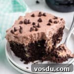 Baileys Irish Cream Poke Cake Recipe for Rich Dessert 15 Baileys chocolate poke cake topped with light and fluffy chocolate frosting and mini chocolate chips and with a bite-size piece taken out with a fork, which is leaning on the plate.